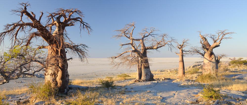 Das Gebiet der Makgadikgadi-Salzpfannen im heutigen Botsuana.