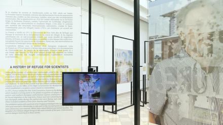 In einem Ausstellungsraum sind verfremdete Porträts und ein Bildschirm zu sehen.