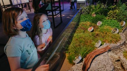 Zwei Mädchen, die Mundschutz tragen, stehen vor einem Bodenmodell mit runden Plastikbehältern.