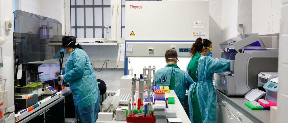 In einem Berliner Labor werden Corona-Tests ausgewertet.