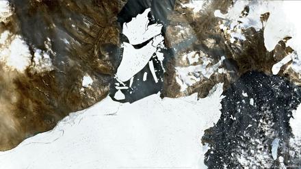 Satellitenbildern zeigen die riesige im Meer treibende Eisschollen.