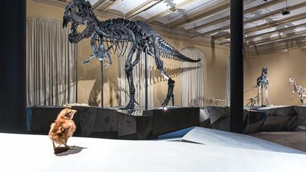 T-rex Tristan Otto „verreiste“ 2020 ins Naturkundemuseum in Kopenhagen und ist seit August 2022 zurück in Berlin.