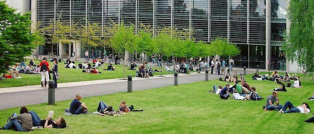 Studierende sitzen vor einem Universitätsgebäude auf Rasenflächen.