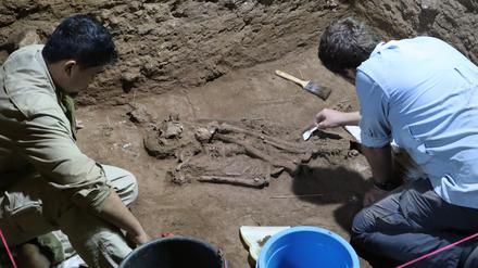 Aus der Größe des Skelettes schließen die Forschenden auf das männliche Geschlecht des Steinzeitmenschen.