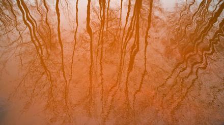 Bräunlich-rot ist das Wasser eines Fließes am Naturspreewaldhafen in Ragow nahe Lübben (Brandenburg) gefärbt.