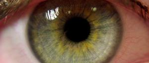 Das Auge einer Frau mit Synästhesie (Sinnesvermischung) in der Universitätsklinik Frankfurt am Main.