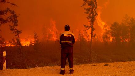 Die Waldbrände haben sich in Russland durch mehr als drei Millionen Hektar gefressen. Zum Teil werden sie als Folge der Klimaveränderungen gesehen. 