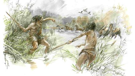 So ähnlich könnten die Vorfahren der Neandertaler vor 300.000 Jahren mit Wurfstöcken Pferde in sumpfige Stellen getrieben haben, wo sie diese gefährlichen Gegner mit Wurfspeeren oder Stoßlanzen erlegen konnten.